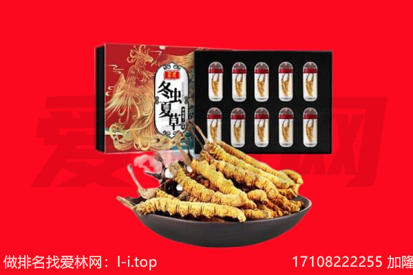 柳南区回收虫草.jpg
